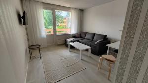 a living room with a couch and a table at New 1 bedroom apartment near amenities nilsia near tahko in Nilsiä