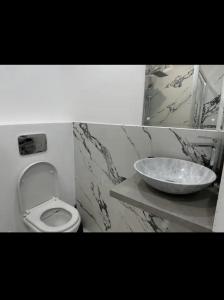 a bathroom with a sink and a toilet at Piața Libertatii Apartament 1 room in Timişoara