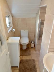 a small bathroom with a toilet and a sink at St Marys Apartment in Hastings +2 photos