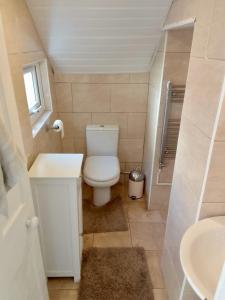 a small bathroom with a toilet and a sink at St Marys Apartment in Hastings