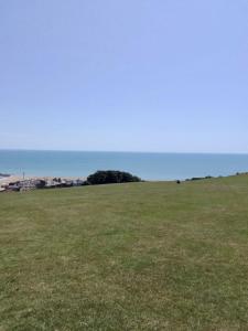 a field of grass with the ocean in the background at St Marys Apartment in Hastings