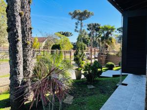 un jardin avec des palmiers et une clôture dans l'établissement Residencial Pine House, à Canela