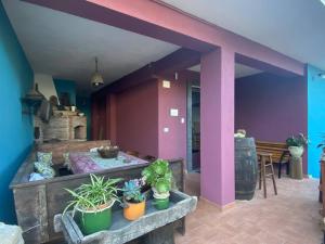 a house with plants in a room with purple walls at Agriturismo Etna-Mare in Piedimonte Etneo