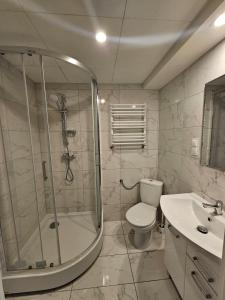 a bathroom with a shower and a toilet and a sink at Hostel KASZUBSKA in Wrocław