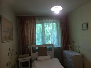 a small bedroom with a bed and a window at Jaukus butas ant Neries skardžio in Vilnius