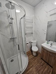 a bathroom with a shower and a toilet and a sink at Hostel KASZUBSKA in Wrocław