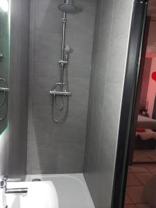 um chuveiro na casa de banho com um WC branco em Miss G'Ainguette em Guéreins