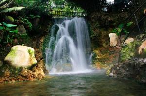 Un paisaje natural cerca del resort