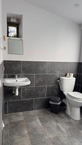 La salle de bains est pourvue de toilettes et d'un lavabo. dans l'établissement Le Gîte les NUZ ( parc du château de Keroüartz), à Lannilis