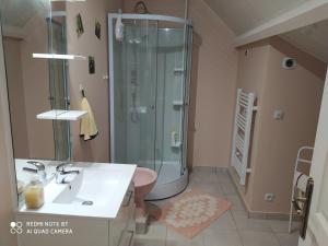 une salle de bain avec douche et lavabo dans l'établissement La case, à Arros-de-Nay 11 autres photos