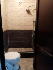 ein Bad mit einem WC und einer Dusche in der Unterkunft Apartment Near McDonalds Marjanishvili in Tbilisi City
