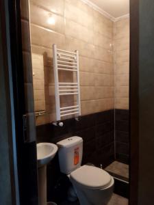 ein kleines Bad mit WC und Waschbecken in der Unterkunft Apartment Near McDonalds Marjanishvili in Tbilisi City