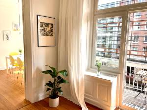 ein Wohnzimmer mit einem Fenster und einer Pflanze in der Unterkunft Elbperle! Zentrales Apartment an der Elbe in Hamburg