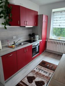 eine Küche mit roten Schränken, einem Waschbecken und einem Fenster in der Unterkunft FeWo s Runde Wiese WR in Greifswald