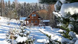 a cabin in the snow with snow covered trees at Domek w górach in Nowy Targ