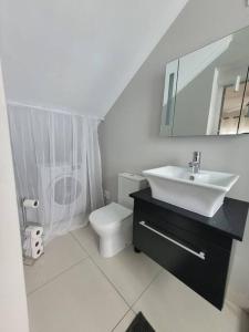 ein Badezimmer mit einem Waschbecken, einem WC und einem Spiegel in der Unterkunft Downstairs @38 in Port Elizabeth
