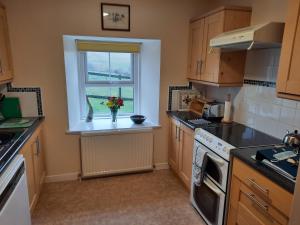a kitchen with a vase of flowers in a window at Laghead Steading Cottage in Gatehouse of Fleet