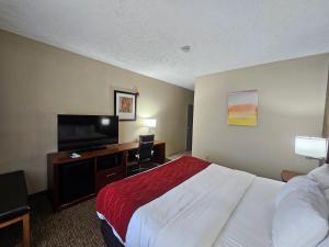 a hotel room with a bed and a flat screen tv at Comfort Inn Jackson I-40 in Jackson