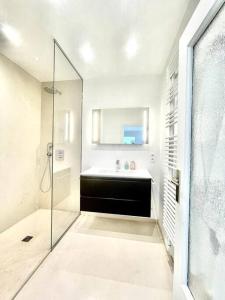 een badkamer met een glazen douche en een wastafel bij Luxury flat on the Cote d'Azur in Villeneuve-Loubet