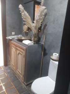 uma casa de banho com WC e um vaso com penas em APPARTEMENT Hana Majorelle em Marrakech