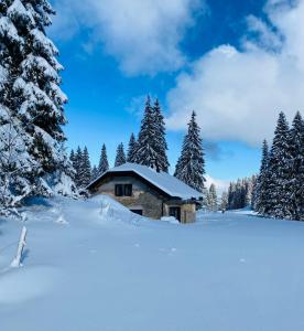 una cabaña en la nieve con árboles en La Loge de la Dolarde - Chambre Nord-Est en Prémanon