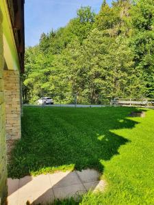 a yard of green grass next to a building at Alpine Retreat Val D'Illiez in Val-d'Illiez