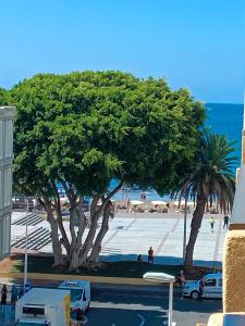 Un grupo de árboles en un estacionamiento junto al océano. en Apartamento Victor Arico, en El Médano