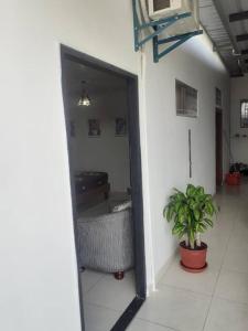 an open door to a room with a potted plant at El nido del pajarillo in Manta