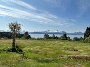 einen Baum auf einem Feld mit Blick auf das Wasser in der Unterkunft Sjarmerende gårdsbruk omgitt av vakker natur in Molde