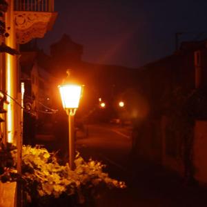 a street light on the side of a street at night at Kleines Häuschen am RheinSteig in Kaub