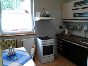 Cucina o angolo cottura di Penzion Adam - Makov