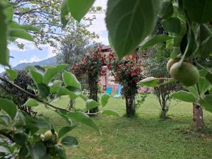 a row of trees with red flowers in a yard at Goizeder etxea in Sumbilla +50 photos