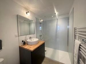 une salle de bain avec un lavabo et une douche avec un miroir dans l'établissement Les Forgerons - Chaleureux - Central, à Mont-de-Marsan