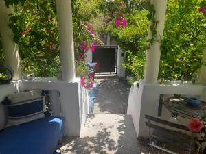 a view of a porch with flowers and plants at Au fil de l eau in Cannes