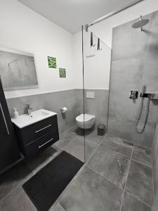 Bruchweiler-BärenbachにあるPfalztraum Fewo'sのバスルーム(シャワー、洗面台、トイレ付)