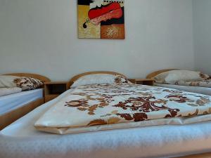 un letto con una coperta in una stanza di VISIT BORACKO LAKE Apartment doelend a Jezero