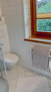 a bathroom with a toilet and a window and a towel at Erika´s Häuschen in Kitzbühel
