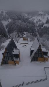 un groupe de bâtiments avec de la neige sur les toits dans l'établissement Amont Chalet, à Peştera