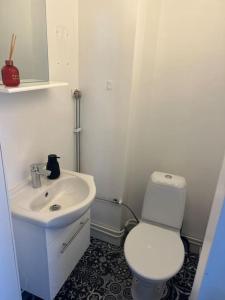 a bathroom with a white toilet and a sink at Studiolägenhet i Höga Kusten in Ullanger