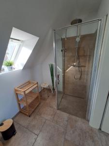 W łazience znajduje się prysznic ze szklanymi drzwiami. w obiekcie Ein Stück Glück w Prerowie