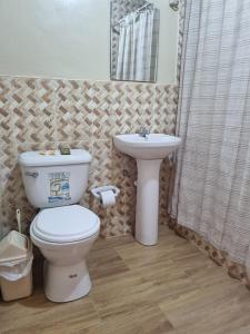 a bathroom with a toilet and a sink at Bungalows Payancas de Tato in Barranca