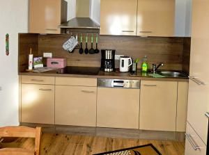 a kitchen with a sink and a counter top at FeWo Ruhe-Insel Musikwinkel in Markneukirchen