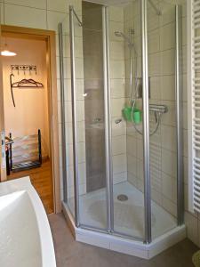 eine Dusche mit Glastür im Bad in der Unterkunft FeWo Ruhe-Insel Musikwinkel in Markneukirchen