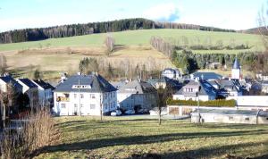 a small town with houses on a hill at FeWo Ruhe-Insel Musikwinkel in Markneukirchen
