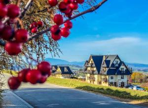 a tree with red berries in front of a house at Willa w Gliczarowie in Gliczarów