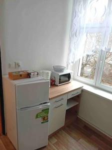 a kitchen with a refrigerator and a microwave on a counter at Family MK Apartment in Prague