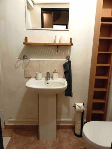 a bathroom with a sink and a mirror and a toilet at Family MK Apartment in Prague