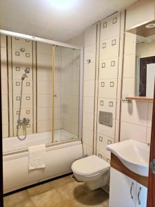 La salle de bains est pourvue d'une douche, de toilettes et d'un lavabo. dans l'établissement Hotel Nayla, à Istanbul