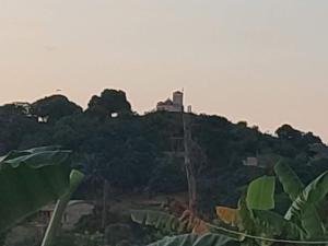 a building on top of a hill with trees at Villa Myakatra in Hell-Ville