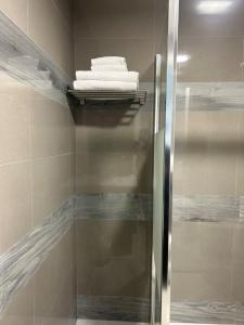 una ducha con puerta de cristal y toallas en un estante en ANMAN HHBB tourism & business rooms, en Padua
